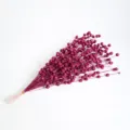 Tallos de bayas con purpurina magenta para árbol de Navidad y decoración floral - 50 piezas bolsa / Rosa rojo