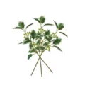 Rama de acebo artificial con hojas verdes jaspeadas y bayas para decoración de Navidad - Juego de 3 Piezas / Acebo de Borde Blanco con Bayas Verdes / 25cm