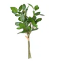 Rama de hojas de peperomia de sandía artificial para decoración del hogar - Juego de 3 Piezas / Hojas de batata / 25cm
