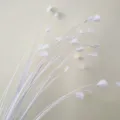 Witte kunstmatige pauwengrasnep bloemstengels voor huwelijksfeestdecoratie en landschapsarchitectuur. - Wit