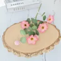 Primer plano de eucalipto artificial y flores de cosmos rosa en madera - Rosa