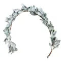 Guirlande de feuilles d'oreilles d'agneau artificielles vert argenté pour déco murale - Style de Feuille d'Oreille de Lapin Flocage / Pack Liane 150CM