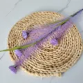 Vue détaillée d'une branche de fleurs de roseau violettes pour décoration florale - Violet