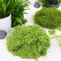 Detail view of artificial green moss mat for micro landscape bonsai and garden decoration. - Knitted Style / 50g (30x60cm) / Dark Green