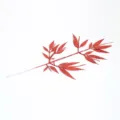 Red glitter artificial bamboo leaves for Christmas tree decor and holiday floral arrangements. - Red
