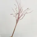 Branche décorative à paillettes or rose pour la décoration du sapin de Noël, 43 cm - Or rose