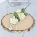 Detailaufnahme von cremefarbenen Schaumrosen auf einer rustikalen Holzscheibe für Deko - Weiß