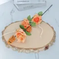 Detaillierte Ansicht von drei hochwertigen orangefarbenen Schaumrosen auf einer Holzscheibe - Orange