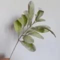 Artificial flocked rabbit ear leaf branch detail shot for wedding floral decor and home arrangement - Light Green Flocked Single Stem