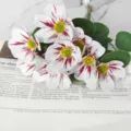 Artificial cosmos flower bouquet detail shot, white petals with red veins, ideal home decor prop. - One Unit / Red White