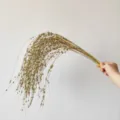 Primo piano di rami di salice piangente glitterati oro per decorazioni - 98CM / Oro