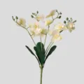 Artificial phalaenopsis orchid single branch fake flowers for home and wedding decor - Light Green