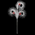 White faux pampas grass Christmas spray decoration with red glitter ball ornaments - 3 Branches / White