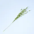 Decorative green glitter foam berry branch for DIY Christmas tree floral arrangements - Green