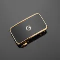 Nahaufnahme der luxuriösen 3,5-cm-Gürtelschnalle aus Zinklegierung in Schwarz und Gold - Unterwäsche Stil / Gold