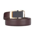 Detail of men's brown leather belt with luxury gold automatic buckle and texture. - Gold Brown