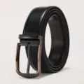 Close-up of premium men's business leather belt with a dark metallic needle buckle. - 110cm / Two-Tone Gold