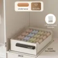 16-grid drawer underwear storage box with transparent lid for closet organizing. - Jumbo 16 Grids / Single Layer (42x28x12cm) / Cream White