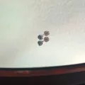Close-up macro of a 316 titanium steel ear bone nail with a brilliant blue zircon stone - Small Blue Heart (A11)