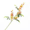 Detailed view of artificial orange and yellow berry branch with green leaves for home decor - Orange