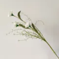 Vue détaillée d'un bouquet d'œillets artificiels blancs avec tiges vertes pour décoration - Blanc