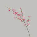 Ramo di fiori di ciliegio artificiali rosa per decorazioni domestiche eleganti. - 4 rami rosa scuro
