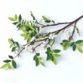 Realistic artificial white Nandina berry branch for home table decor and photography props - Green