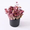 Vintage artificial flower potted plant with retro roses, daisies, and leaves in black pot. - Deep purple