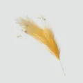 Vista dettagliata dell'erba pampas artificiale dorata con una consistenza molto soffice - Giallo
