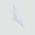 Vista macro che mostra la morbida consistenza piumata di una canna di erba pampa bianca - Bianco