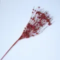 Detailaufnahme von roten Glitzerbeeren-Zweigen für festliche Weihnachtsdekorationen - Rot