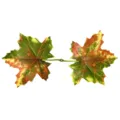Close-up of artificial autumn maple leaves, dual leaf connected design, realistic decorative accessory. - Style A / 200 Pieces