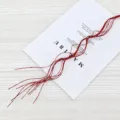 Dettaglio di rami decorativi rossi glitterati per addobbi natalizi e composizioni - Rosso
