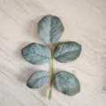 Künstlicher Eukalyptus-Blattzweig grüne Pflanze für Heimdekoration Hochzeits-Blumenschmuck - Fünfarmig Modell A