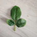 Künstliches Eukalyptusblatt Kunstpflanze Heim Hotel Dekor Blumenarrangement Variante - Dreiarmig Modell B
