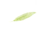 Foglia decorativa in plastica verde scavata per albero di Natale e decorazione regalo - Verde