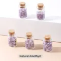 Set de pequeñas botellas de vidrio rellenas de cristali de amatista púrpura natural - Botella: 20x32mm Piedra: 3-5mm / Botella de Deseos de Amatista Natural