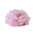 Pink artificial hydrangea flower head for wedding decoration and table centerpiece - Hemisphere / 25cm / Pink