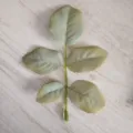 Rama de hojas de eucalipto artificial, planta falsa realista para decoración del hogar y arreglos. - Hojas de rosa de 5 puntas