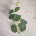 Rama de hojas de eucalipto artificiales planta verde falsa para decoración del hogar - 8 puntas cortas con cabeza verde