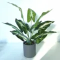Artificial potted plant faux green syngonium leaves in grey pot home decor indoor display nice - Calla Lily Leaf Potted Plants
