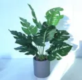 Artificial Monstera plant in grey pot faux green foliage for home and office decoration - Monstera Leaf Potted Plants