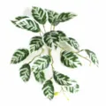 Realistic artificial watermelon leaf plant stem for home decor and greenery arrangements. - Small Evergreen Leaf (Without Pot)