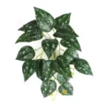 Detailed view of 3D printed artificial watermelon leaves with realistic white spots - Small Silver Spot Leaf (Without Pot)