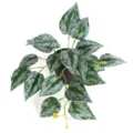 Macro view of artificial watermelon leaf plant with realistic silver variegation - Small Silver Mist Leaf (Without Pot)