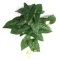 Detailed macro view of artificial green heart-shaped leaves with realistic texture - Small Alocasia Leaf (Without Pot)