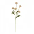 Primer plano de un tallo de crisantemo ping-pong artificial con cinco cabezas de flores crema - Naranja Claro