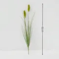 Vertical detail of artificial green foxtail grass with a 42cm height measurement mark - 38cm Reed Grass / 38cm Single Piece