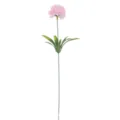 Detailed macro view of a single stem pink artificial chrysanthemum ping pong flower - Pink