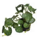Detailed macro view of artificial potted plant with patterned green leaves for decor - Veined Watermelon Leaf / With Pot